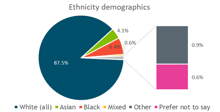 pie chart showing ethnicity demographics